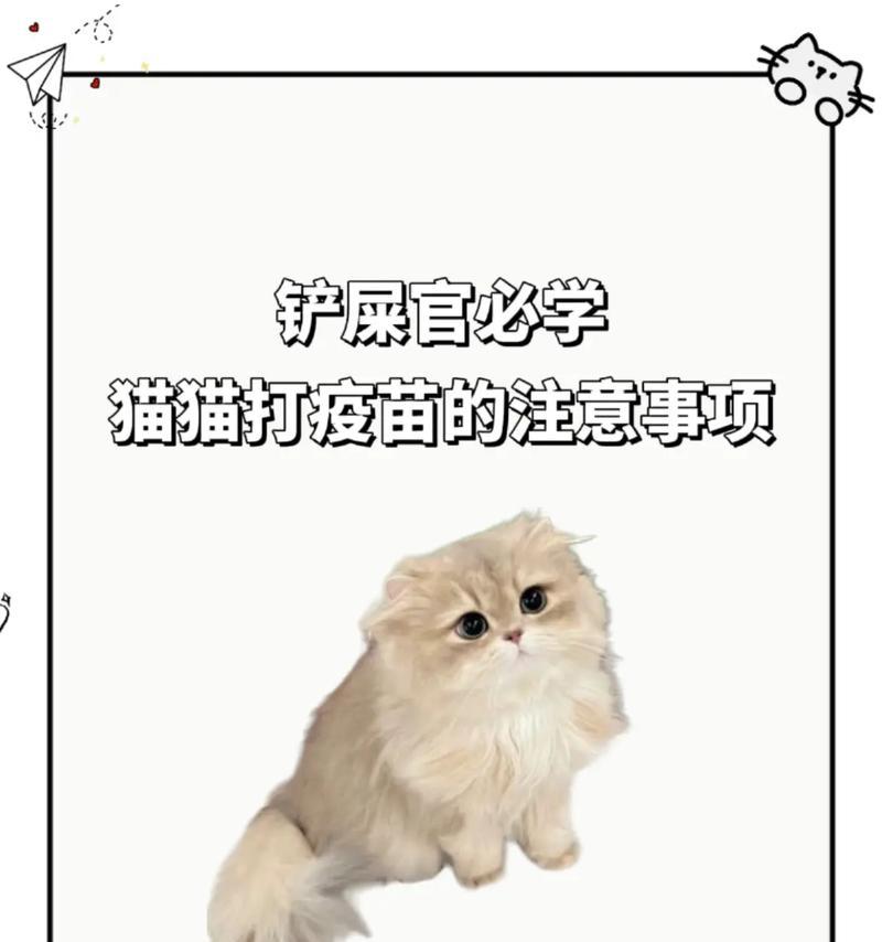 养猫必备的疫苗知识（了解猫咪必须接种的疫苗，让爱宠免受疾病困扰）
