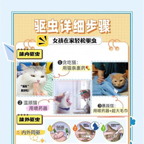 科学驱虫，宠爱猫咪的正确方式（宠物猫咪寄生虫预防和治疗方法详解）