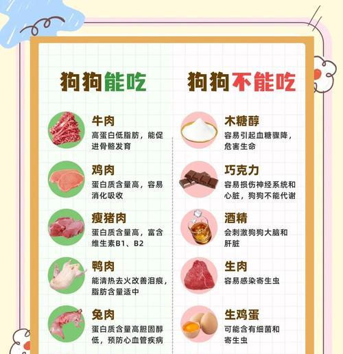 幼犬饮食的重要性与注意事项（幼犬刚出生时需要特殊关注的饮食需求）