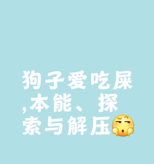 解决狗狗不吃饭的问题（如何改善狗狗食欲不振？）