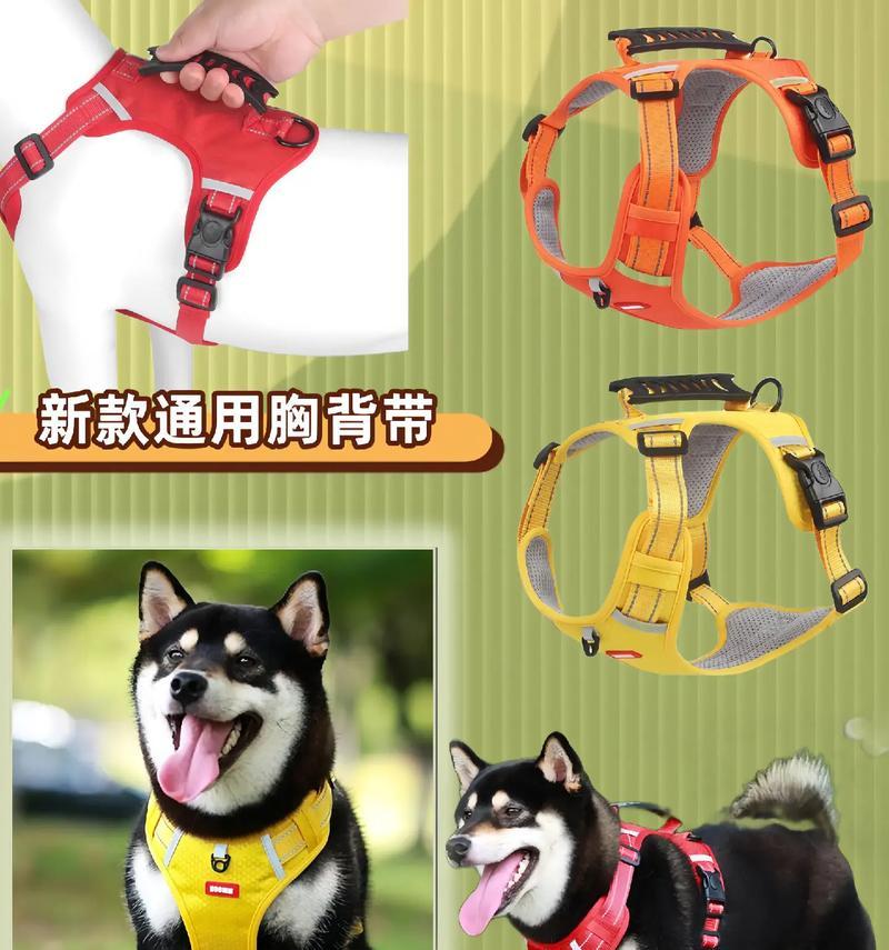 保护自己和他人安全的必备技巧——如何正确使用牵引绳（拴好牵引绳，安全第一）
