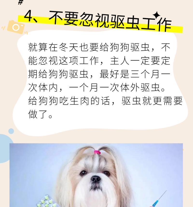 狗吃生肉驱虫时间及注意事项（以狗吃生肉为驱虫方法的和驱虫周期推荐）