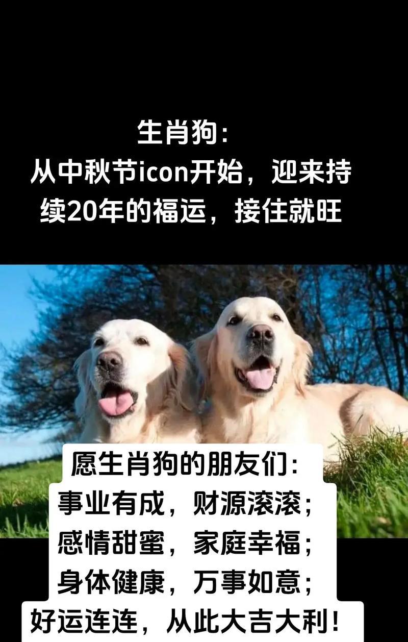 狗的情感之旅（狗狗的忠诚陪伴与无尽的爱意，何时休止？）
