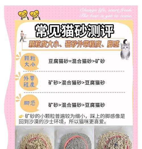 猫砂换一次需要多久？（养猫人士必读）