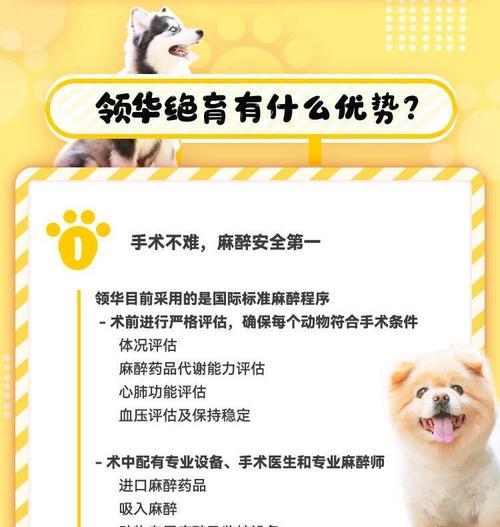 宠物眼中的你（从宠物眼中看你的亲密度与责任感）