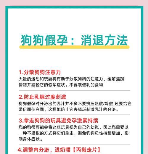 揭秘狗狗假孕的时长和结束方式（了解狗狗假孕的周期和处理方法，让它快乐度过）