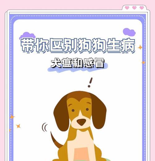 狗狗拉肚子和感冒的处理方法（为你的爱犬提供正确的护理和治疗）