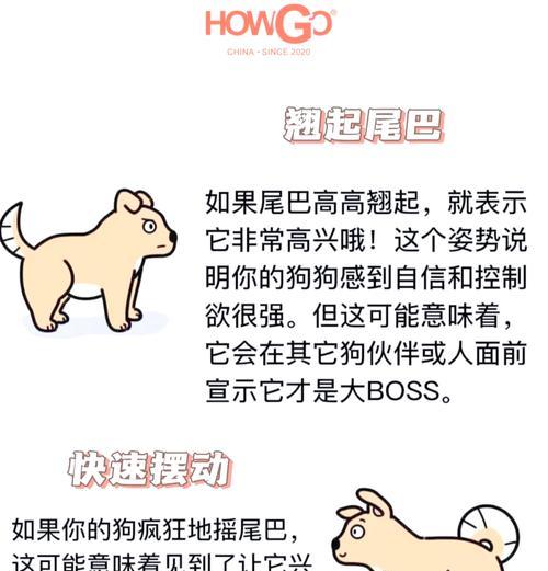 小狗为什么会夹尾巴？（探究小狗夹尾巴的原因及心理状态）