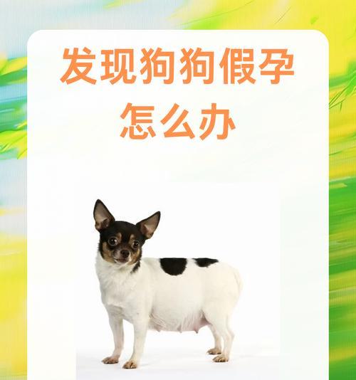 幼犬假死多久后能救活？（救活幼犬的关键时刻及应对措施）