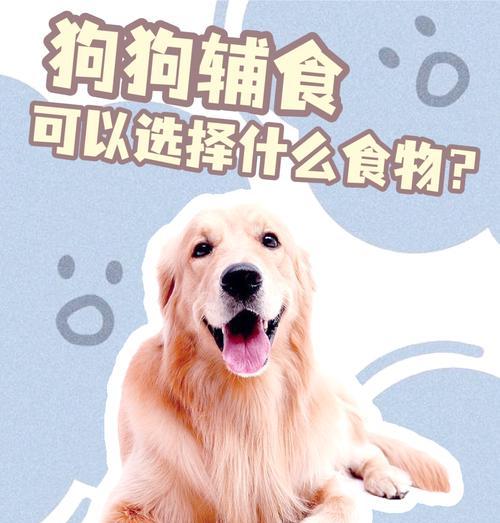 为你的狗提供含钙的食物（了解狗狗所需的钙质摄入量，以及丰富的食物来源）