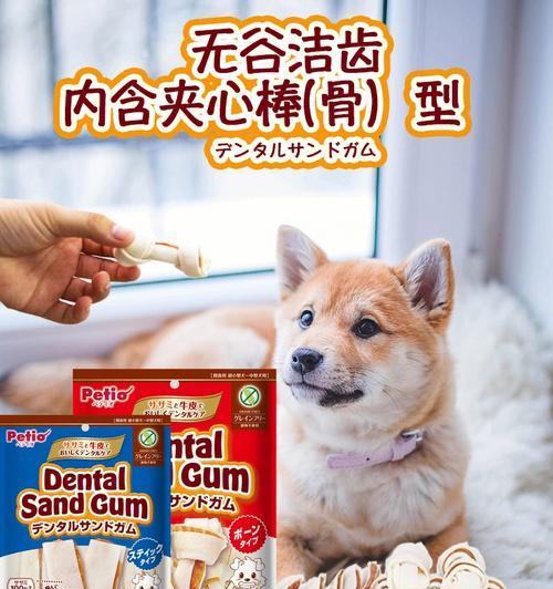狗狗喜欢的零食有哪些？（探秘狗狗的美食世界）