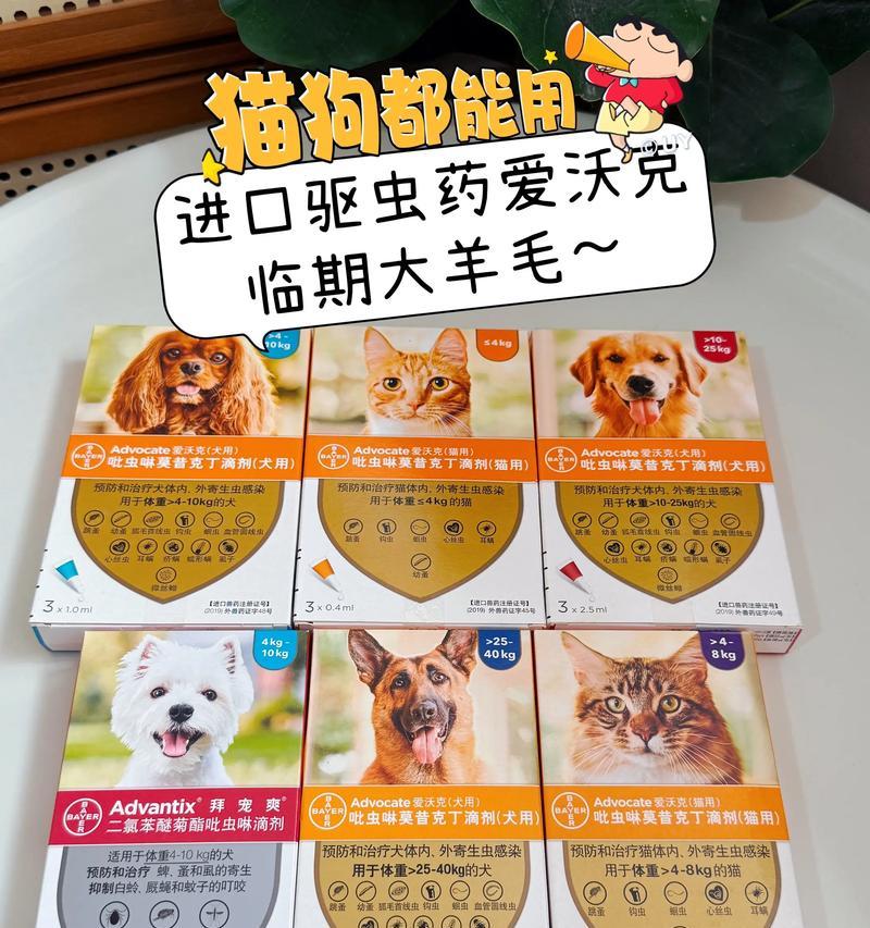 小狗崽驱虫药的选择与使用（了解小狗崽驱虫药的种类和使用方法，保护宠物健康）