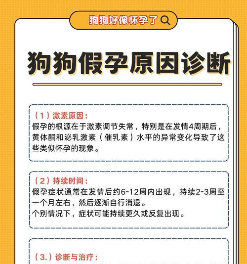 狗狗怀孕的症状及应该注意的事项（了解狗狗怀孕的迹象和饮食需求，提供适当的照顾和营养）