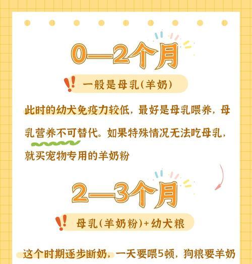 边牧宝宝的断奶时机（科学确定边牧宝宝断奶时间的关键）