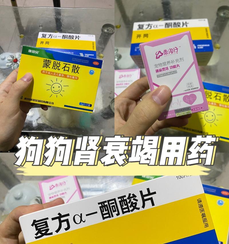 狗肾衰竭（揭秘狗肾衰竭生存期限，为狗狗的健康护航）