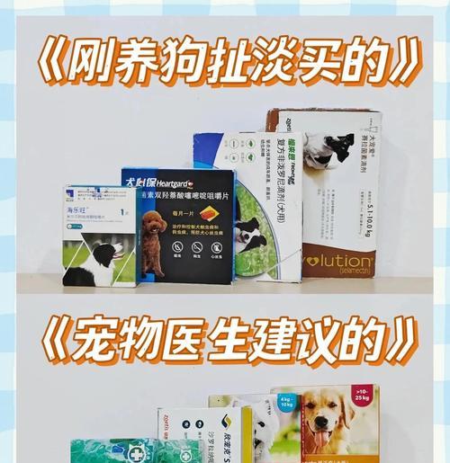 狗狗驱虫药的使用及生效时间解析（宠物保健关键）