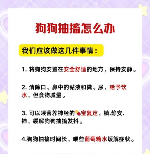 狗瘟发病到死需要多久？（探索狗瘟的发展过程和致命影响）