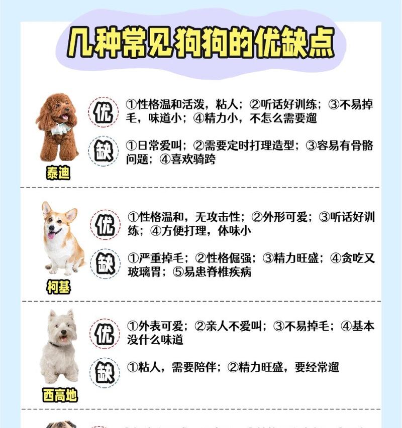 泰迪犬便秘的治疗方法（三种方法帮助泰迪犬恢复正常排便）