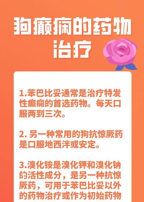 狗狗癫痫（探索狗狗癫痫的病因及适当的治疗方法）