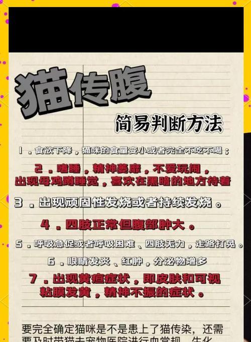 揭秘猫咪生病的几个信号（如何及时察觉和处理猫咪的健康问题）