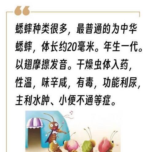 蟋蟀打斗时间究竟有多长？（揭秘蟋蟀打斗的时长及影响因素）