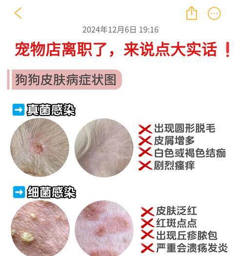 揭秘狗狗冬季脱毛之谜（为何狗狗冬季会频繁脱毛？解析其真正原因）