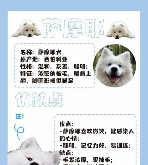萨摩耶幼犬疫苗接种时间表及注意事项（了解萨摩耶幼犬疫苗接种的时间和事项，让你的宝贝健康成长）