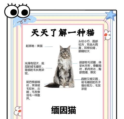 成年猫咪洗澡频率（成年猫咪洗澡的时间间隔及注意事项）