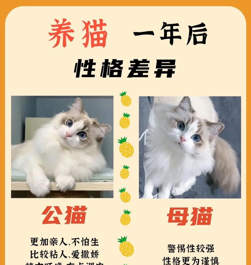 母猫与小猫的深情故事（纯爱无敌！母猫呵护小猫的动人故事）