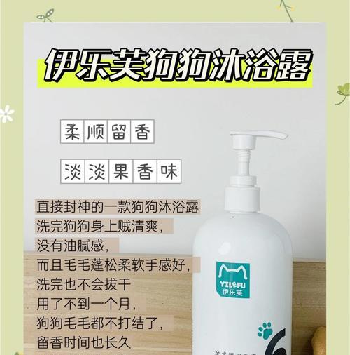 比熊怀孕多久可以洗澡？（了解比熊怀孕期间的洗澡需谨慎，宠物健康有保障。）