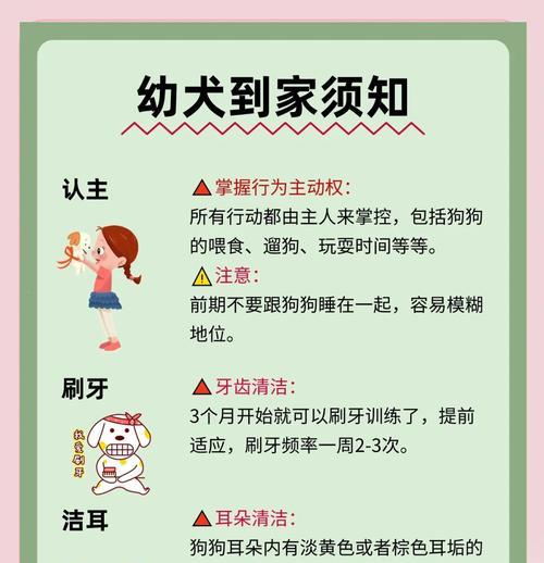 新手养狗必读（养狗新手的省钱攻略，让你养狗有计划有预算）