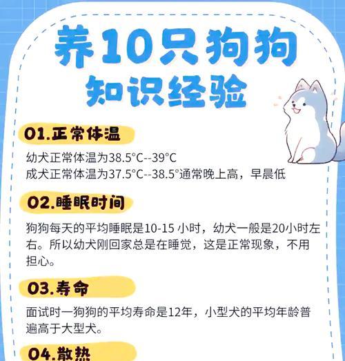 宠物狗狗怀孕时间表对照表（新手养宠必备，了解狗狗怀孕周期，打造爱心家庭）