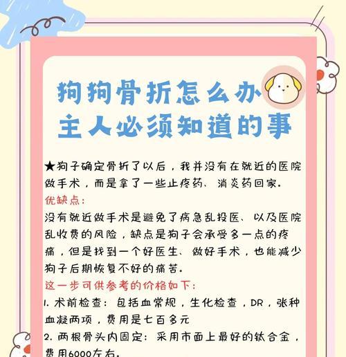 泰迪骨折后多久可以洗澡？（洗澡对泰迪骨折康复的重要性及注意事项）