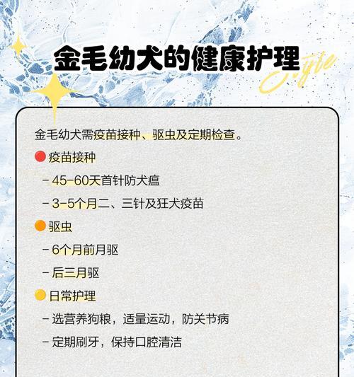 金毛幼犬驱虫时间表（金毛幼犬到家后的健康保障与驱虫计划）