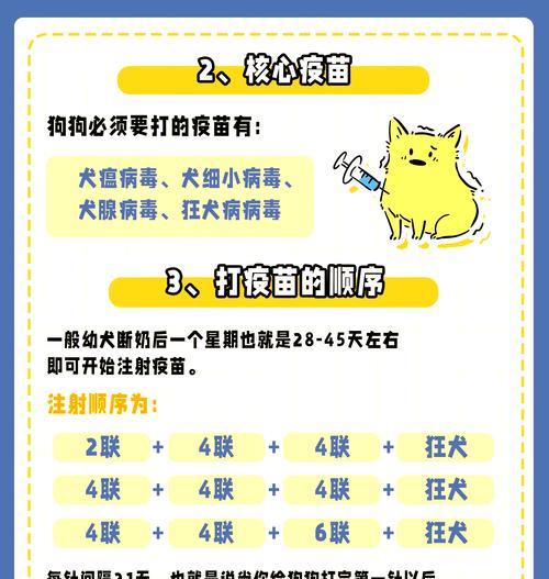 小狗疫苗与驱虫时间的关系（保护小狗健康的关键时机）