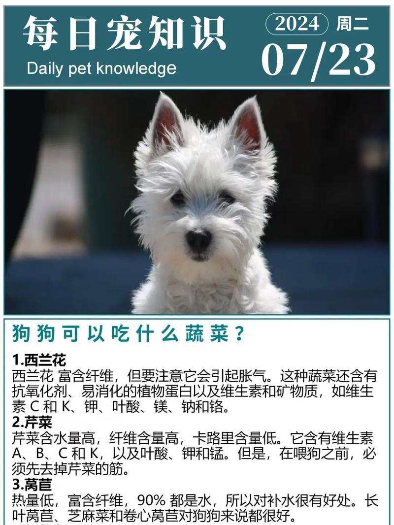 狗狗的最爱（为你的狗狗选择最适合的美食，关心它的健康和快乐）