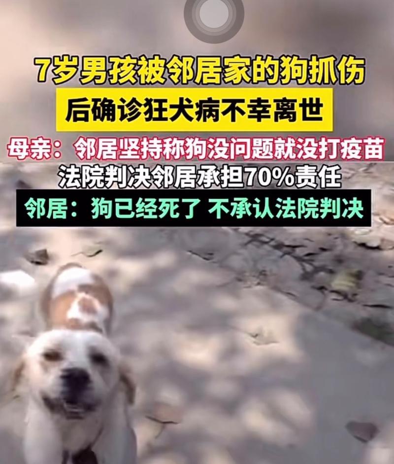 狗患狂犬病后存活时间有多久？（探究狗患狂犬病后的生命倒计时）