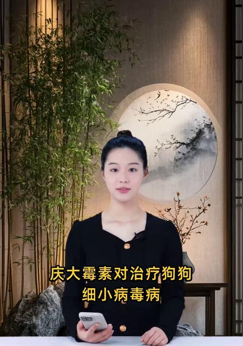 以狗狗治疗细小的药物（细小症状的治疗方法、药物治疗的优势和注意事项）