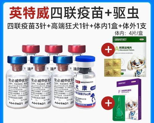 成犬驱虫时间一览（全面了解成犬驱虫的最佳时间与方法）
