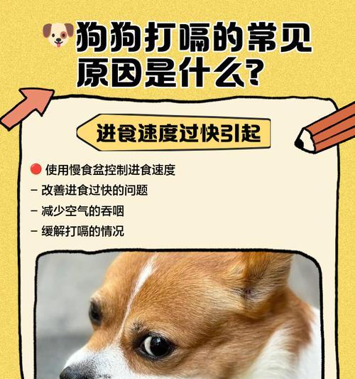 狗狗打嗝的原因和主人需要注意的事项（探讨狗狗打嗝的常见原因和如何正确应对）