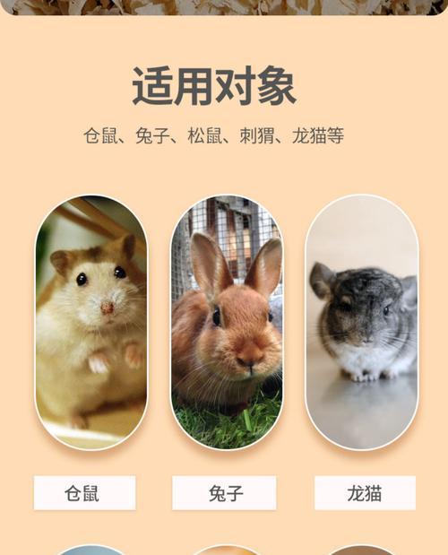 夏季仓鼠垫料选择指南（如何为你的仓鼠选择合适的垫料？）