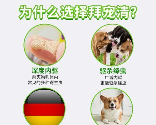 狗狗体内驱虫周期究竟多长？（揭秘狗狗驱虫周期及养护关键）