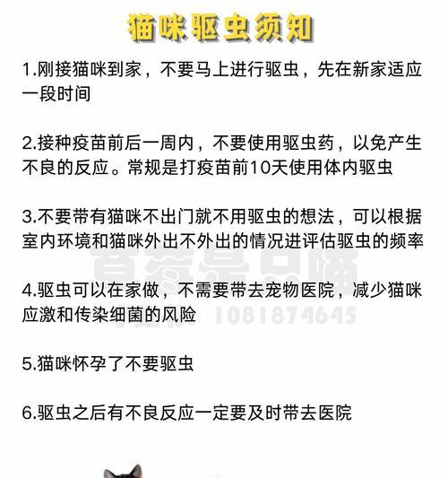 猫咪的身体容易寄生哪些虫？（了解猫咪身体寄生虫，做好预防和治疗）
