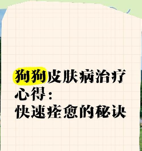 狗皮炎治愈时长揭秘（了解狗皮炎的治疗时间及关键因素）