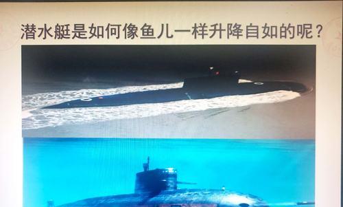 潜水艇鱼的换水频率是多久一次？（探索潜水艇鱼生态需注意的重要环节）