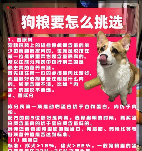 粮品牌盛行，为宠物提供优质营养（探索粮市场，了解优质食物背后的故事）