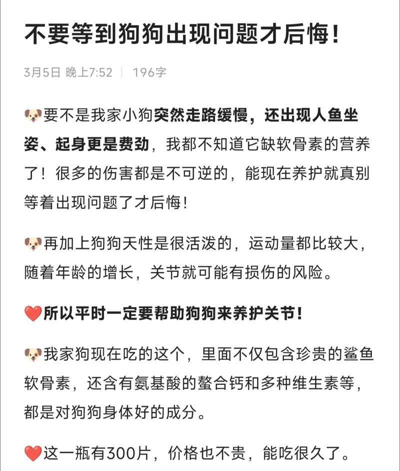 新手养狗小知识（让你成为合格狗主人的必备知识）