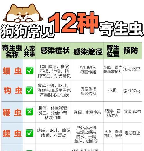 狗内外驱虫后多久拉出虫的时间（掌握正确的驱虫时间，保护狗狗健康）