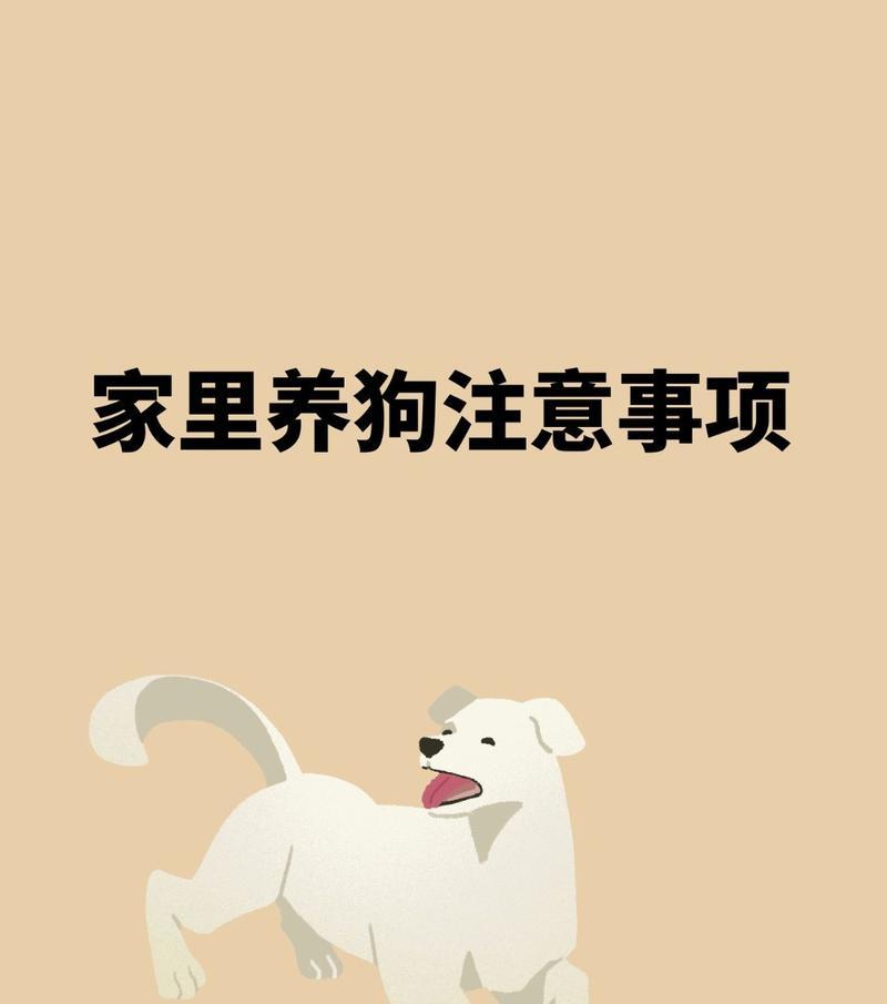 家中养狗需进行哪些检查？（关爱宠物，为狗狗的健康负责）