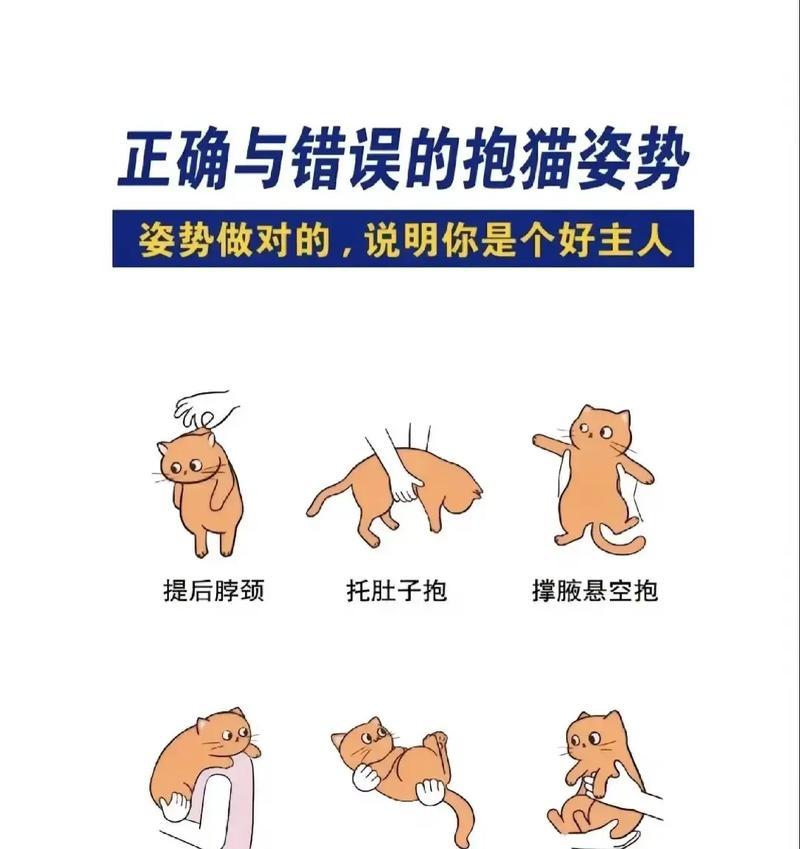 不同的抱的方式，传达爱与关怀（探究抱的方式的种类和意义）